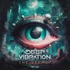 Cover Deep Vibration - The Secret (Original Mix) Deep Vibration - The Secret (Original Mix)