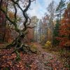 MusicOnlineUA - Autumn, autumn ( English Version)