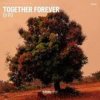Cover DJ PD - Together Forever DJ PD - Together Forever