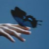 Cover Lxst Wxrld, Mxnsxt - Butterflies in the Stomach Lxst Wxrld, Mxnsxt - Butterflies in the Stomach