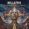 Cover Bellatrix - Wonderland (Original Mix) Bellatrix - Wonderland (Original Mix)