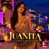 Cover remix Micke Leone - Juanita by Gino Baci remix Micke Leone - Juanita by Gino Baci