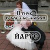Cover ЙАРУС - Птичка в клетке любви ЙАРУС - Птичка в клетке любви