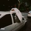 Cover Swan - Prototype Swan - Prototype