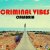 Cover Criminal Vibes vs. DJ DNK - Calabria (DJ KIRILLICH Mashup)