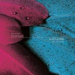 Cover DJ Swip - Feel