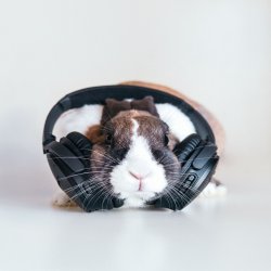 Cover K1L7D4 - NNM (Mix)