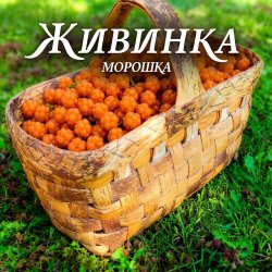 Cover Морошка
