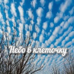 Cover Яна RU - Небо в клеточку