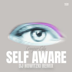 Cover Temper City - Self Aware (DJ Nowitzki Remix)