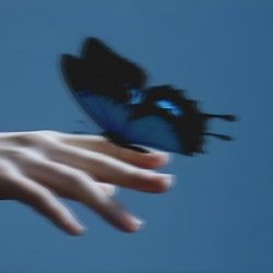 Cover Butterflies in the Stomach