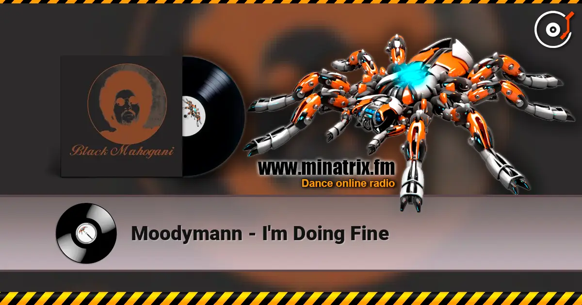 Moodymann - I'm Doing Fine listen online in high quality | Minatrix.FM