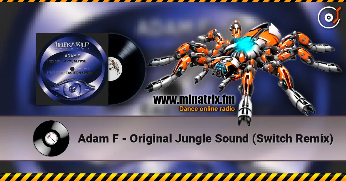 Adam F - Original Jungle Sound (Switch Remix) listen online in high quality | Minatrix.FM