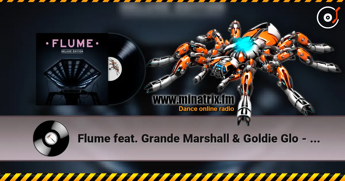 Flume feat. Grande Marshall & Goldie Glo - Warm Thoughts listen online in high quality | Minatrix.FM