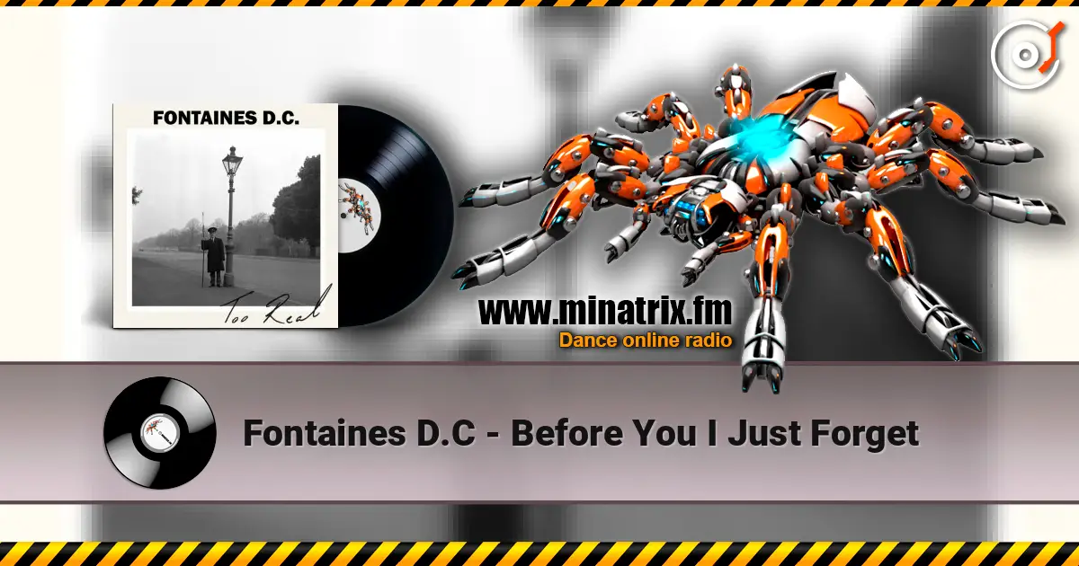 Fontaines D.C - Before You I Just Forget listen online in high quality | Minatrix.FM