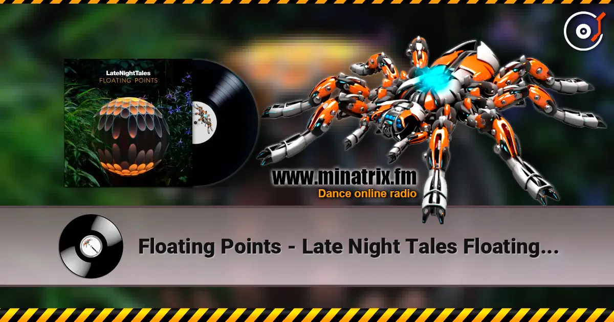 Floating Points - Late Night Tales Floating Points - Continuous Mix listen online in high quality | Minatrix.FM