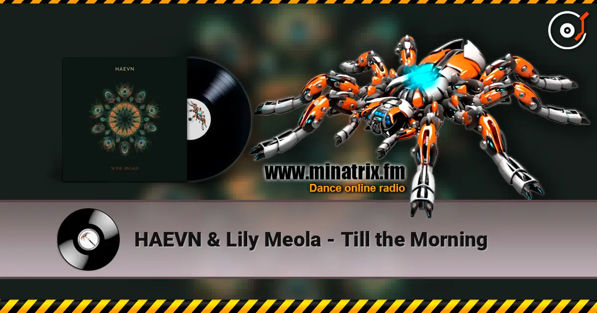 HAEVN & Lily Meola - Till the Morning listen online in high quality | Minatrix.FM