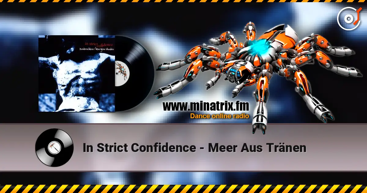 In Strict Confidence - Meer Aus Tränen listen online in high quality | Minatrix.FM