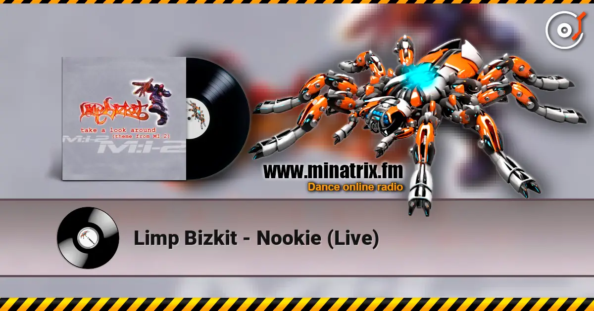 Limp Bizkit - Nookie (Live) listen online in high quality | Minatrix.FM