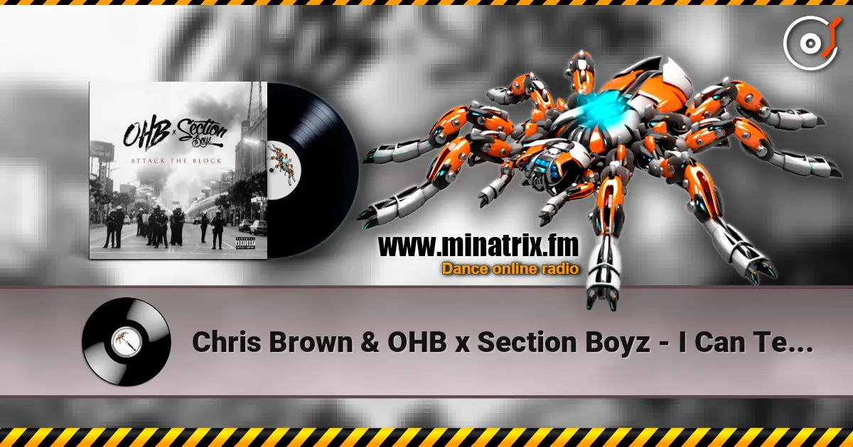 Chris Brown & OHB x Section Boyz - I Can Tell (feat. Chris Brown, Hoody Baby & Young Lo) listen online in high quality | Minatrix.FM