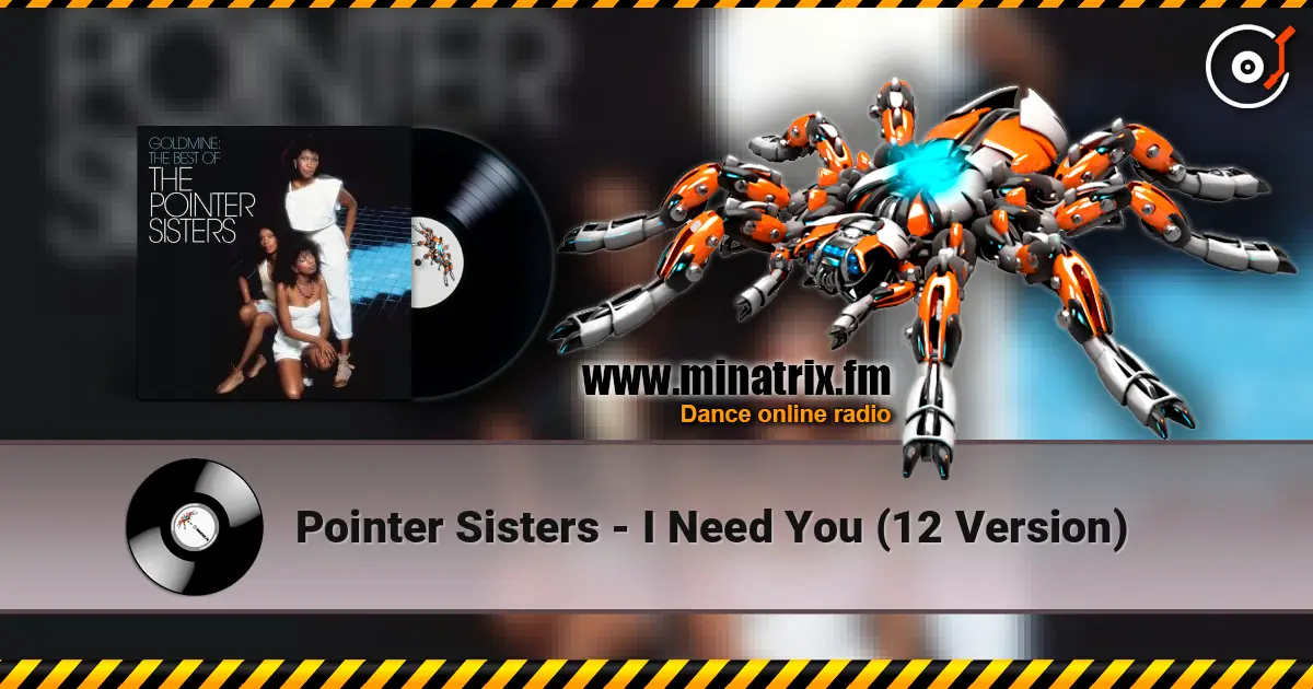 Pointer Sisters - I Need You  (12 Version) listen online in high quality | Minatrix.FM