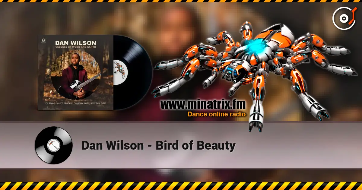 Dan Wilson - Bird of Beauty listen online in high quality | Minatrix.FM