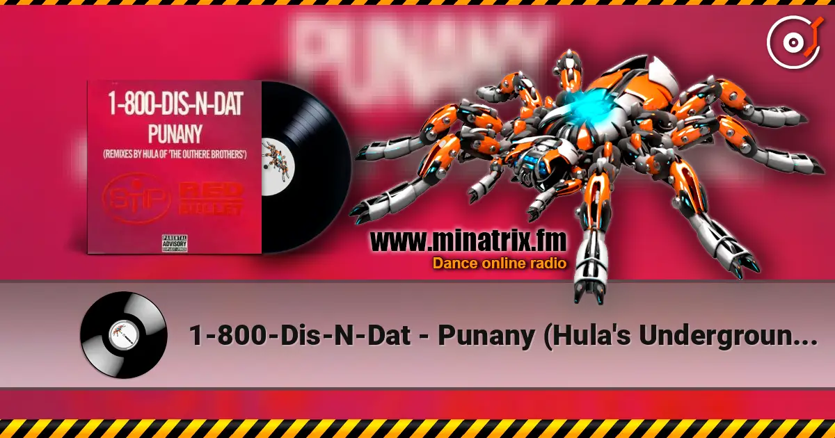 1-800-Dis-N-Dat - Punany (Hula's Underground Long) listen online in high quality | Minatrix.FM