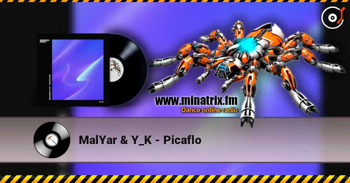 MalYar & Y_K - Picaflo listen online in high quality | Minatrix.FM