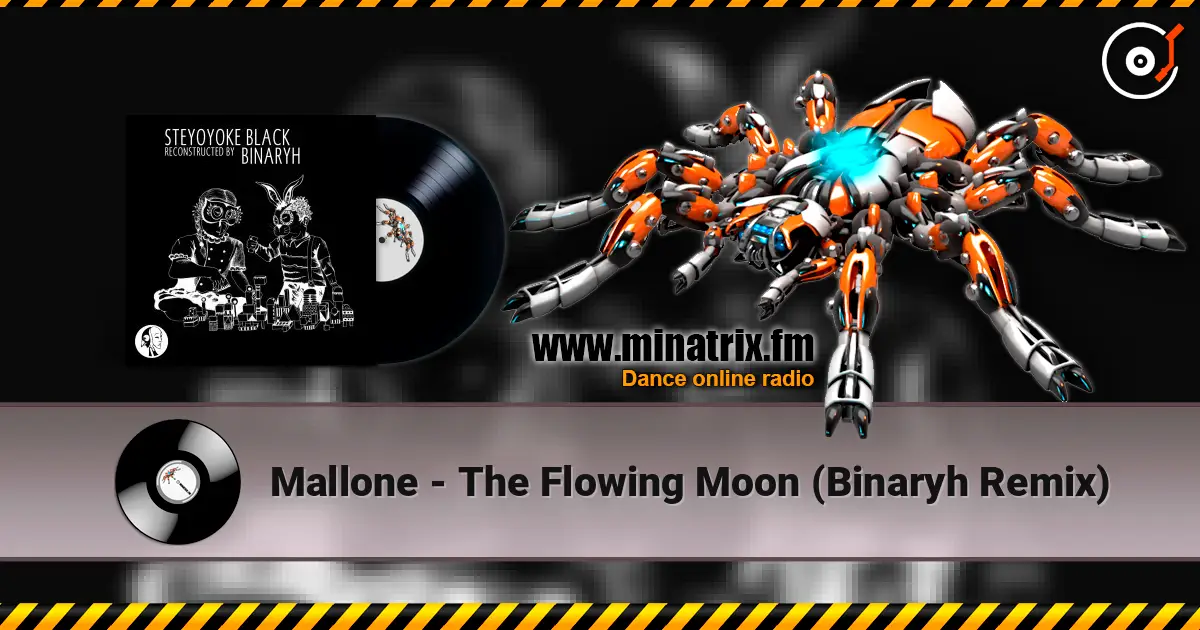 Mallone - The Flowing Moon (Binaryh Remix) listen online in high quality | Minatrix.FM