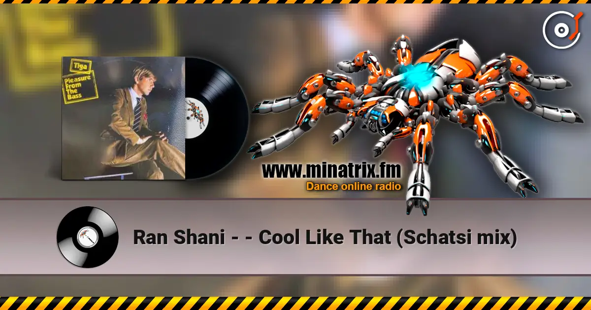 Ran Shani - - Cool Like That (Schatsi mix) listen online in high quality | Minatrix.FM