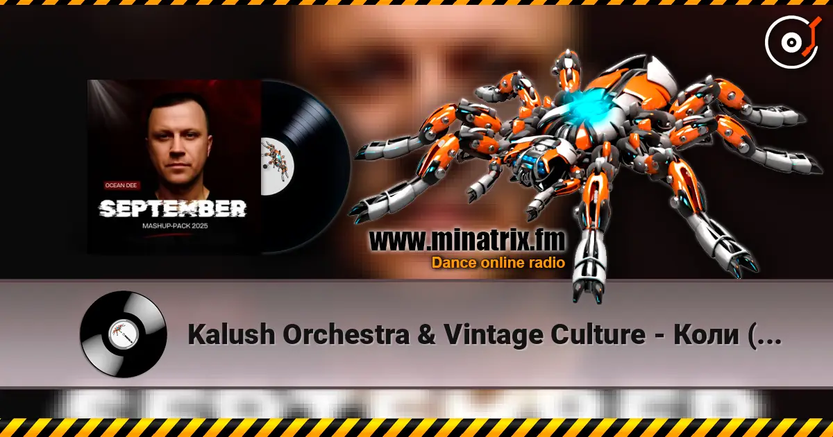 Kalush Orchestra & Vintage Culture - Коли (Ocean Dee Edit) listen online in high quality | Minatrix.FM