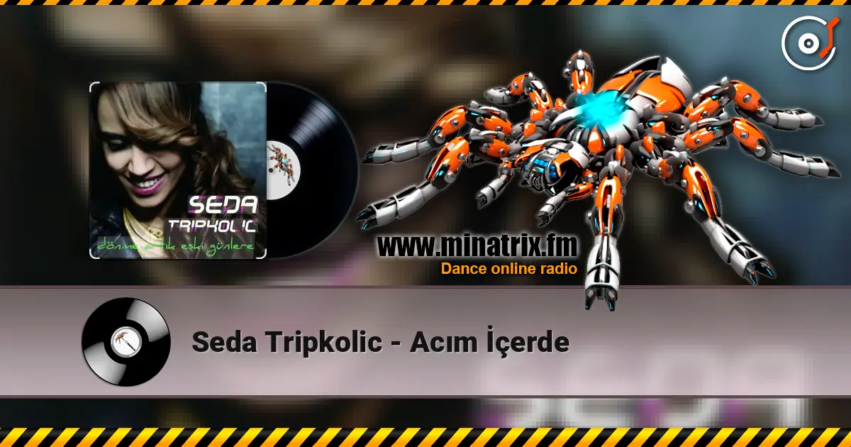 Seda Tripkolic - Acım İçerde listen online in high quality | Minatrix.FM