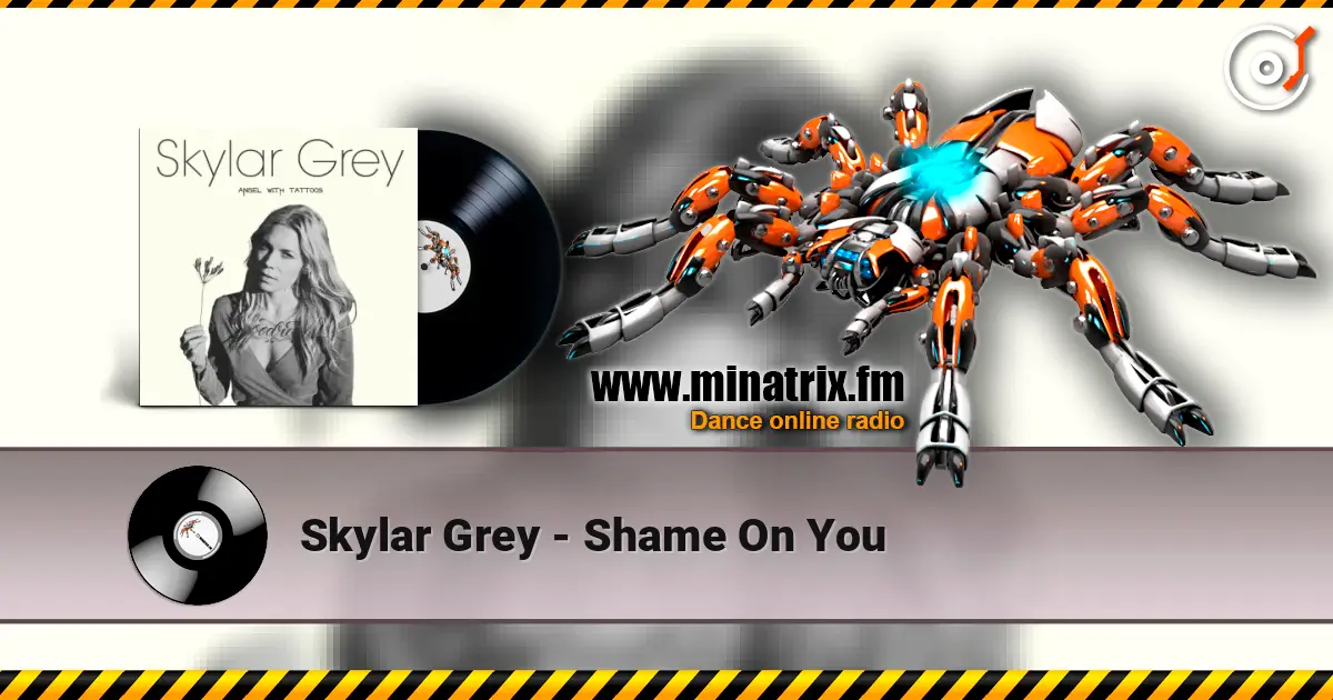 Skylar Grey - Shame On You listen online in high quality | Minatrix.FM