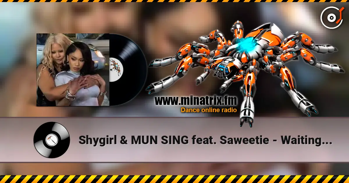 Shygirl & MUN SING feat. Saweetie - Waiting in the Car listen online in high quality | Minatrix.FM