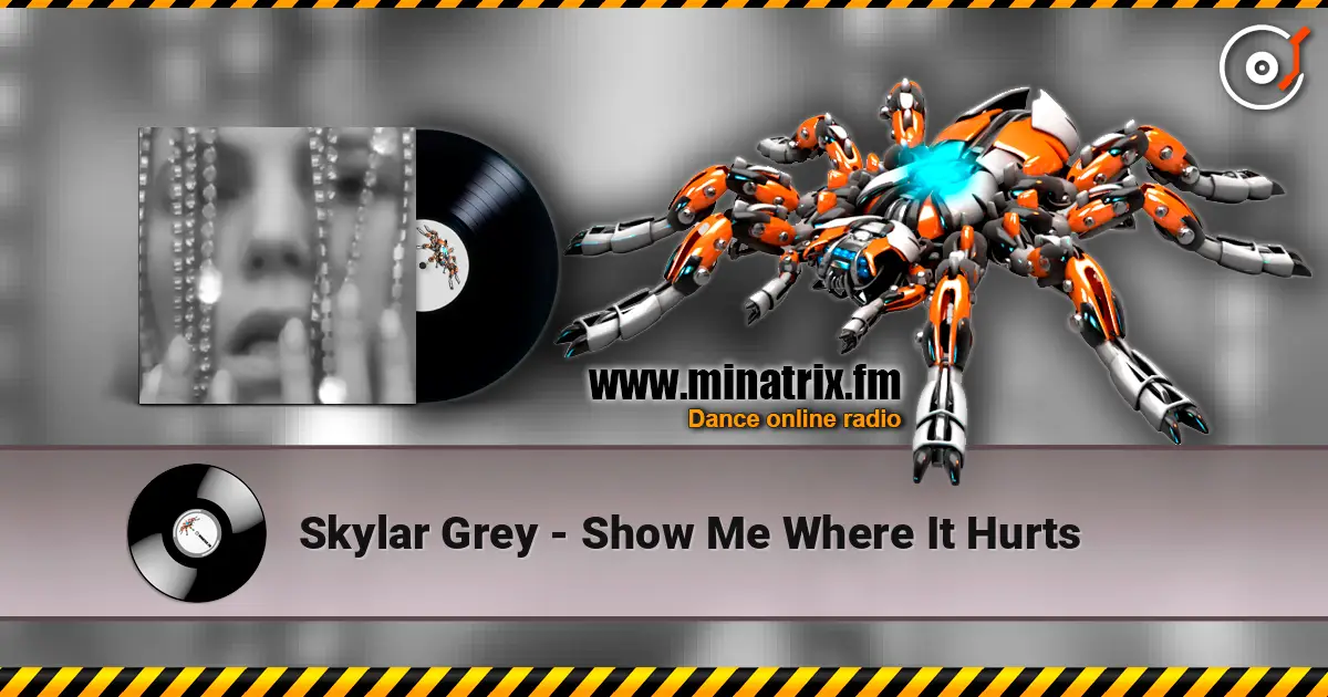 Skylar Grey - Show Me Where It Hurts listen online in high quality | Minatrix.FM