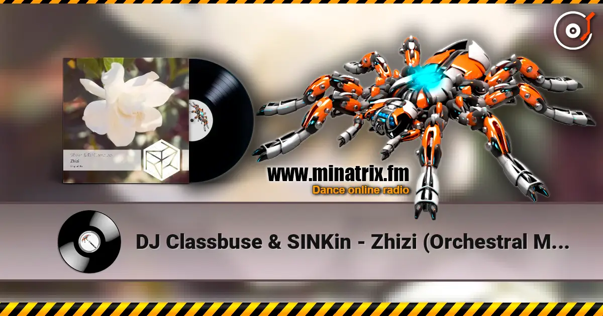 DJ Classbuse & SINKin - Zhizi (Orchestral Mix) listen online in high quality | Minatrix.FM