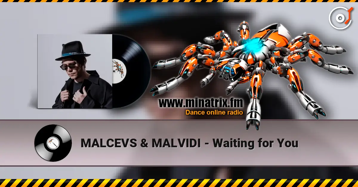 MALCEVS & MALVIDI - Waiting for You listen online in high quality | Minatrix.FM
