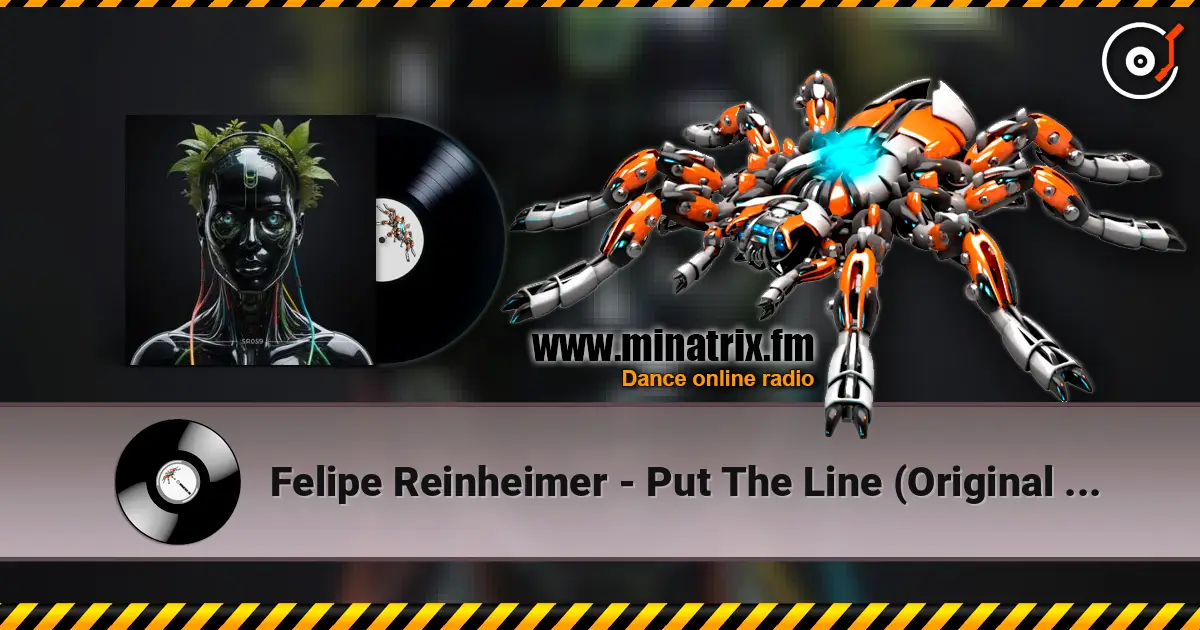 Felipe Reinheimer - Put The Line (Original Mix) listen online in high quality | Minatrix.FM