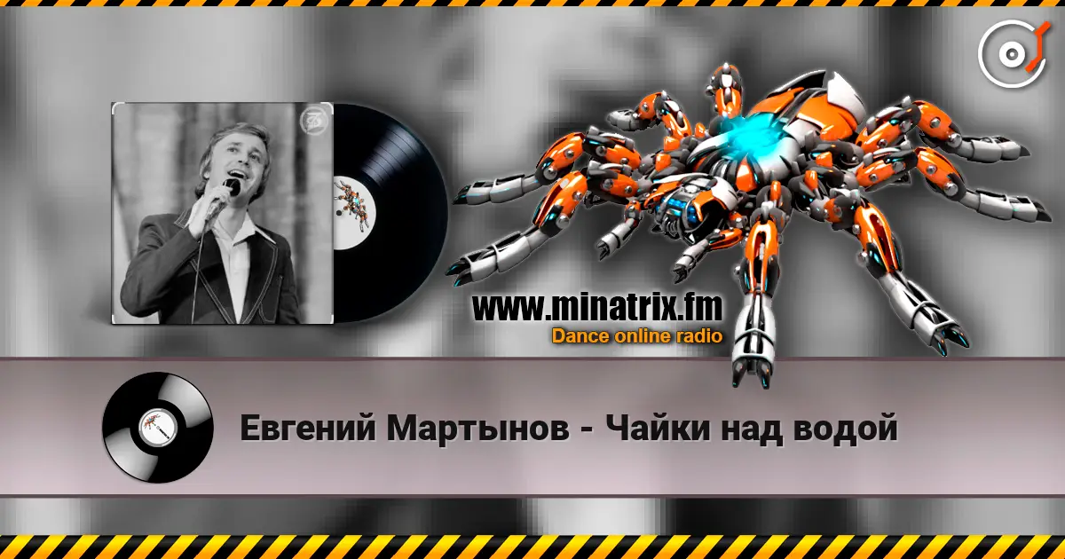 Евгений Мартынов - Чайки над водой listen online in high quality | Minatrix.FM