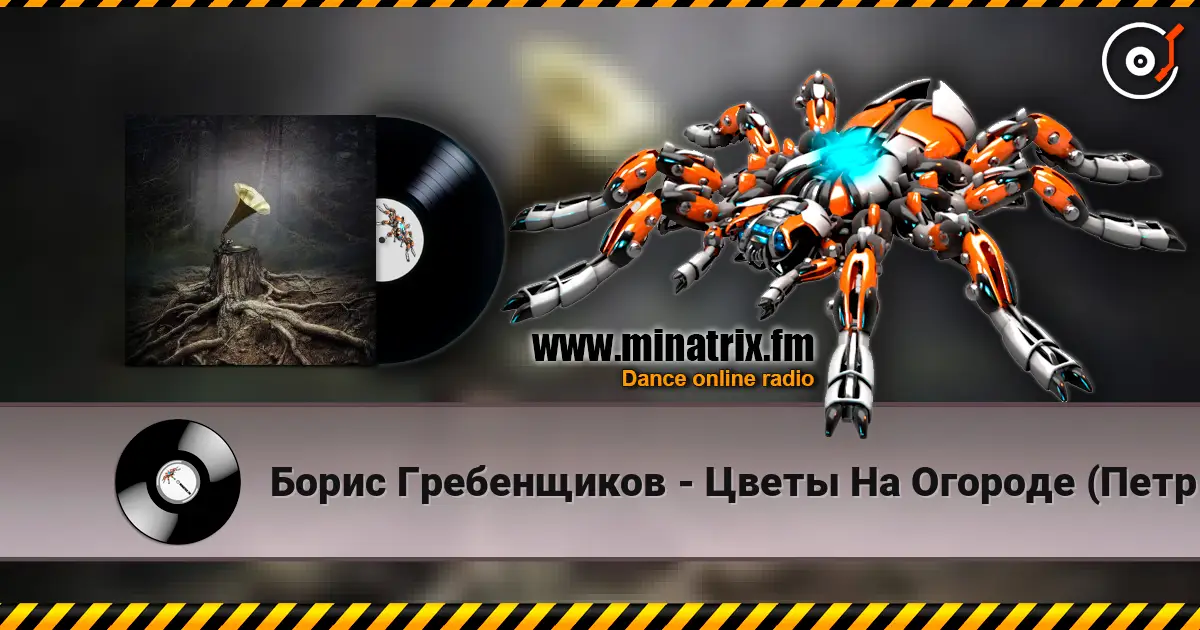 Борис Гребенщиков - Цветы На Огороде (Петр Мамонов) listen online in high quality | Minatrix.FM