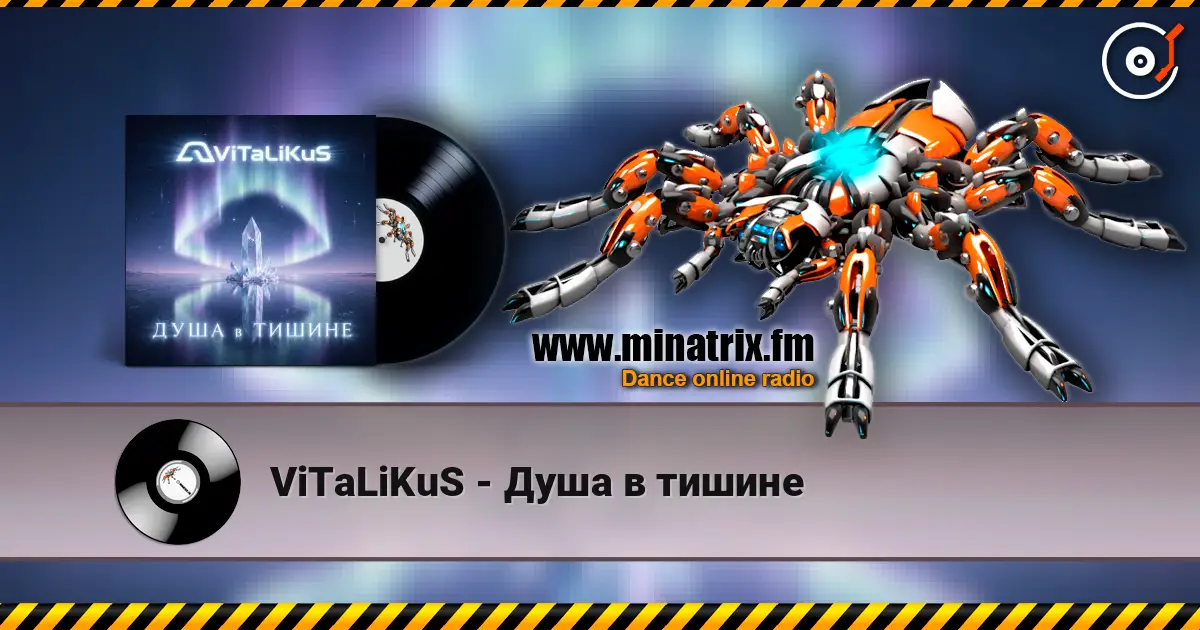 ViTaLiKuS - Душа в тишине listen online in high quality | Minatrix.FM