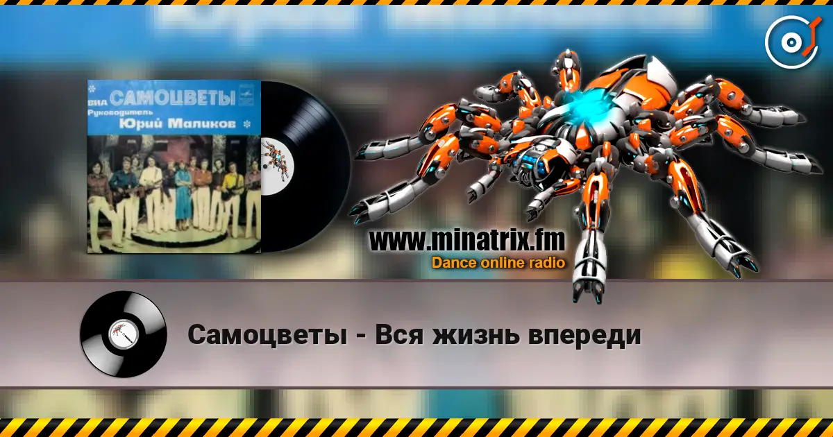 Самоцветы - Вся жизнь впереди listen online in high quality | Minatrix.FM