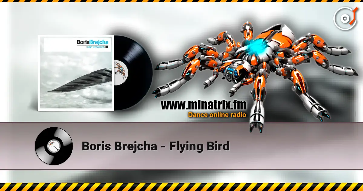 Boris Brejcha - Flying Bird listen online in high quality | Minatrix.FM