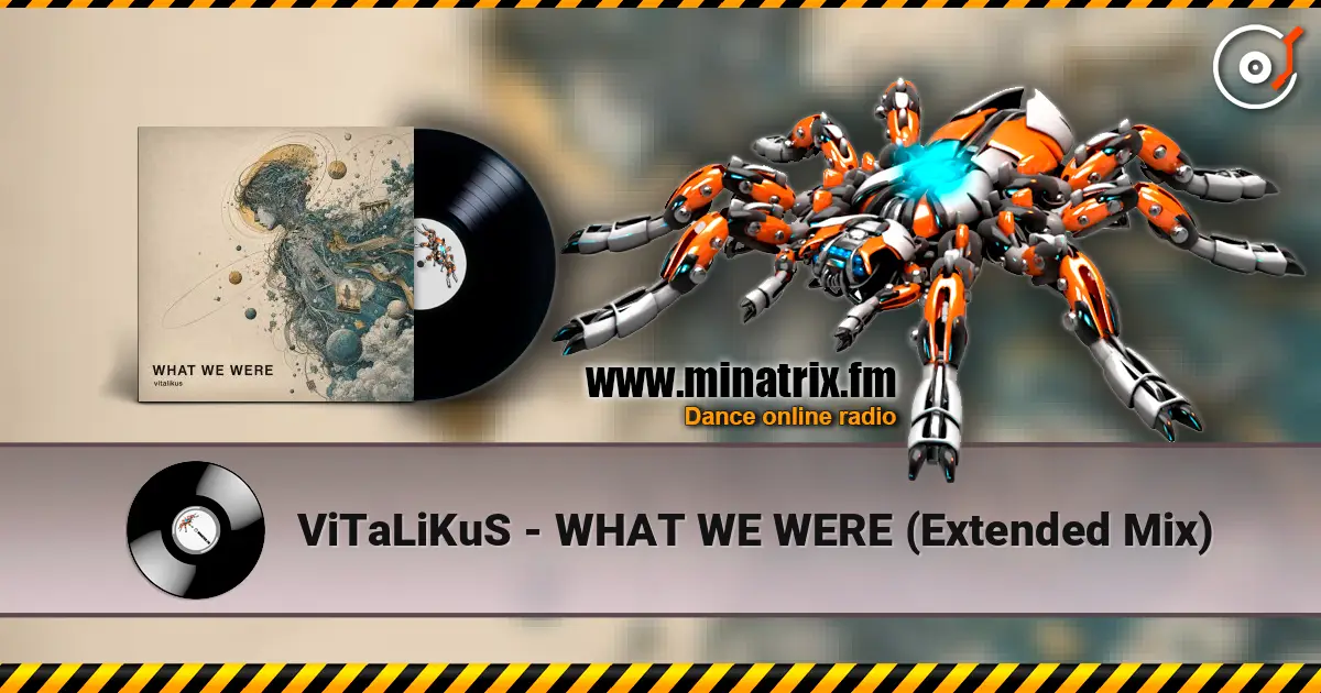 ViTaLiKuS - WHAT WE WERE (Extended Mix) listen online in high quality | Minatrix.FM