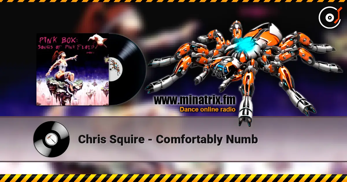 Chris Squire - Comfortably Numb listen online in high quality | Minatrix.FM