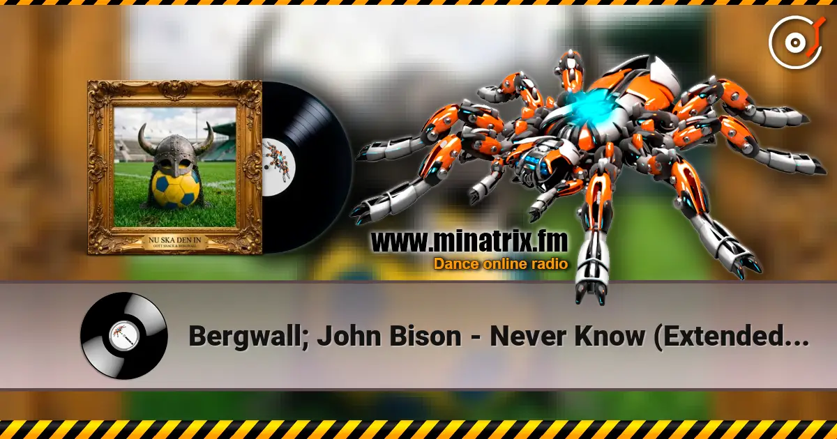 Bergwall; John Bison - Never Know (Extended Mix) listen online in high quality | Minatrix.FM