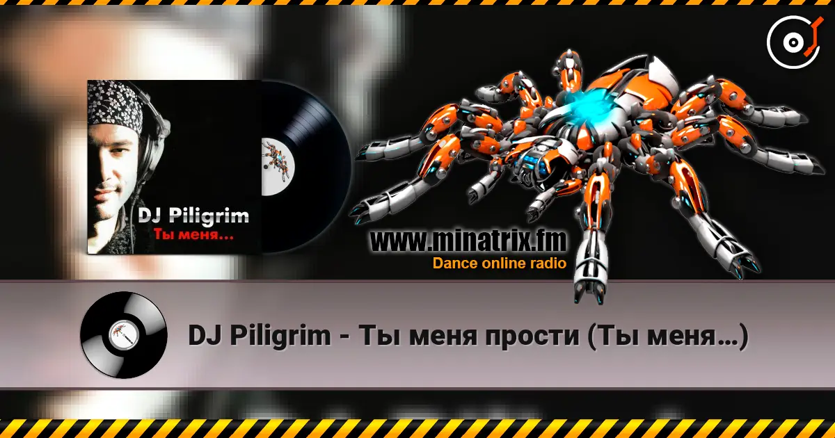 DJ Piligrim - Ты меня прости (Ты меня…) listen online in high quality | Minatrix.FM
