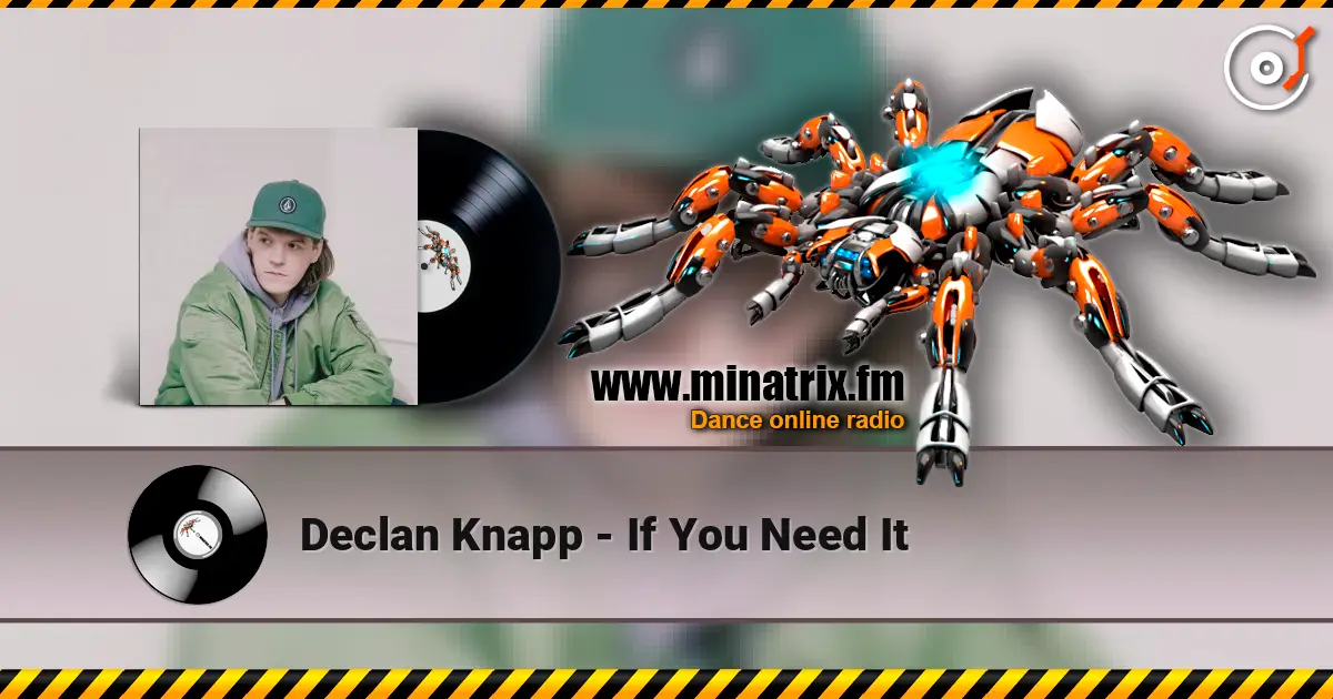 Declan Knapp - If You Need It listen online in high quality | Minatrix.FM